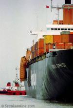 ID 744 TOKIO EXPRESS (1973/57802grt/IMO 7232822, ex-SCANDUTCH EDO). Containers dangle overboard as TOKIO EXPRESS docks in Southampton, UK after being hit by a rogue wave during a storm off the Cornish coast....